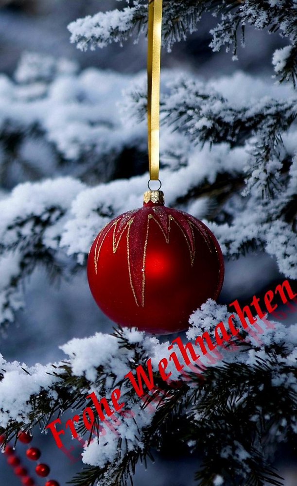 20231223
Weihnachtsbaumkugel