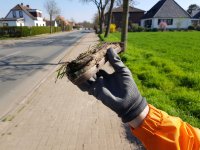 04 Weyhe räumt auf 2019
Schuh
