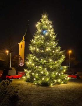 Weihnachtsbaum Henry Wetjen
Platz