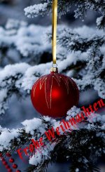 20231223
Weihnachtsbaumkugel