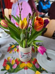 20250317 Kohlessen 4
Tulpen