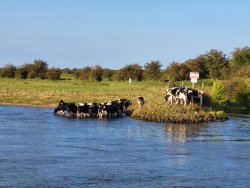 20250809 17 Rad Schiffstour Verden
1200